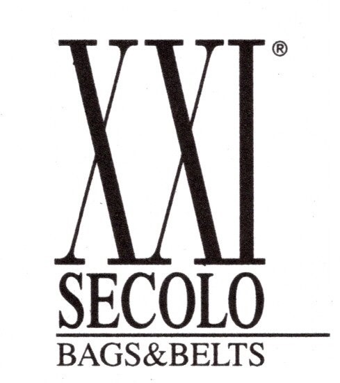 B.Hosting Web Platform